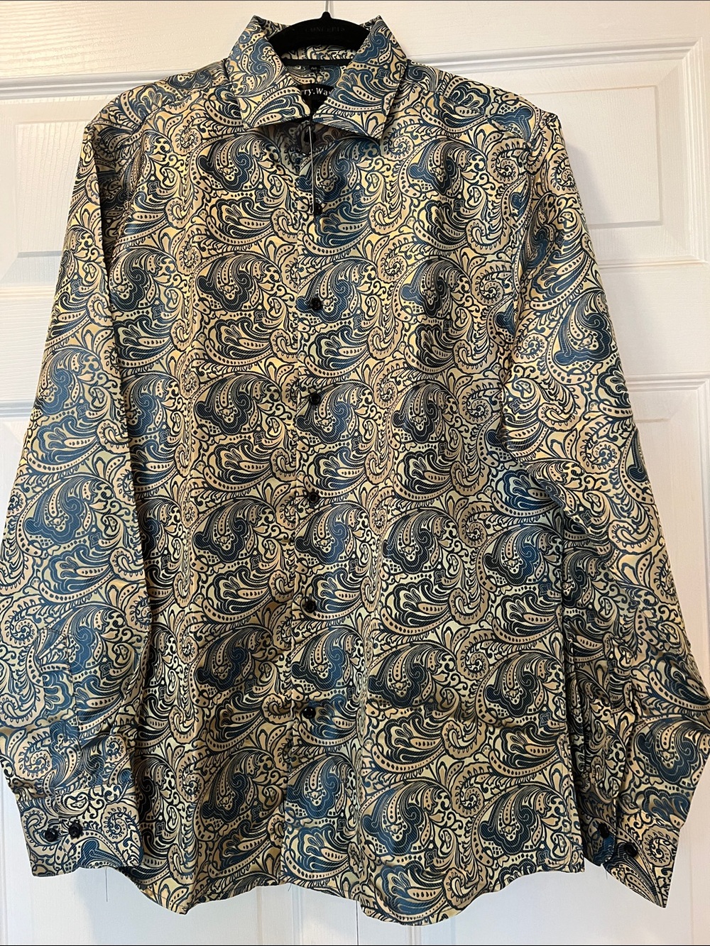 NWT Barry Wang Men's Paisley Button-Up Shirt